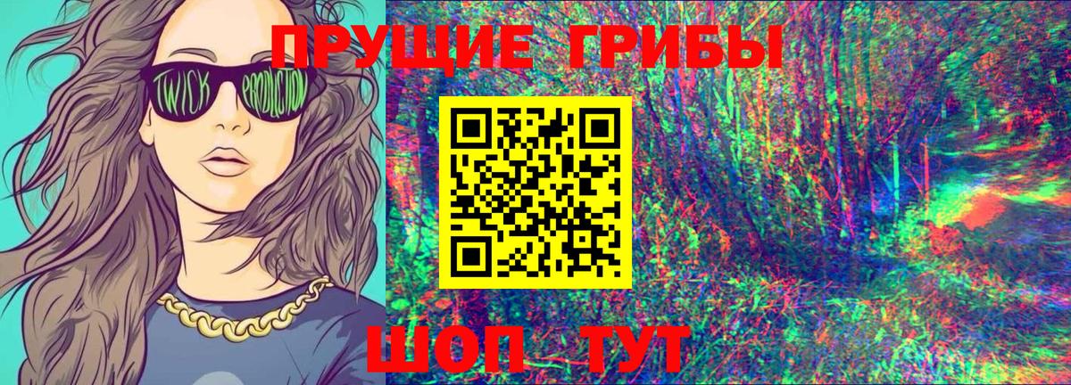 Елабуга  Псилоцибиновые грибы прущие грибы  Вход с VPN 