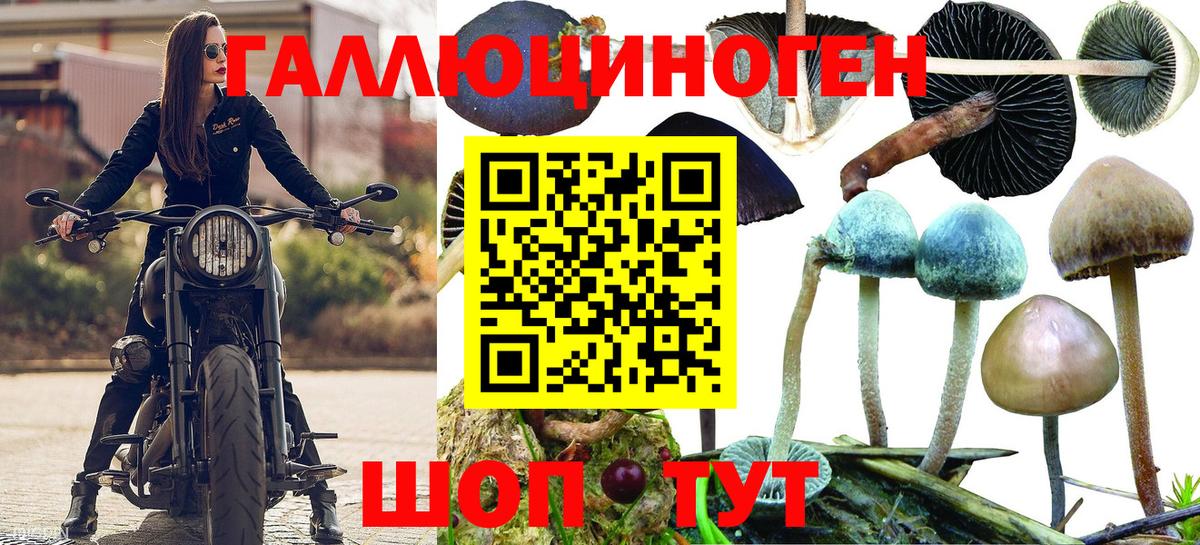 Галлюциногенные грибы прущие грибы Елабуга